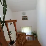 Viragos Vendeghaz *