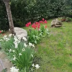 Appartement Viragos Vendeghaz