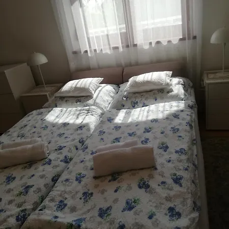 Viragos Vendeghaz 아파트 *