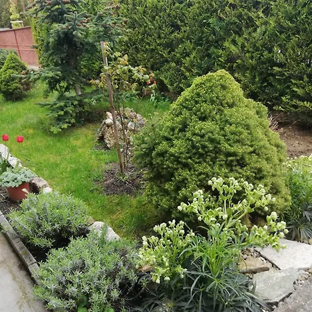 Apartament Viragos Vendeghaz *
