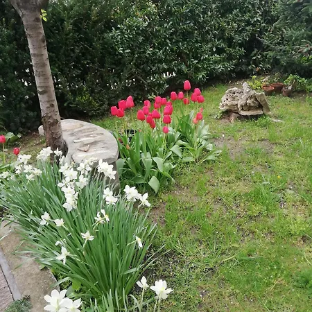 Apartament Viragos Vendeghaz