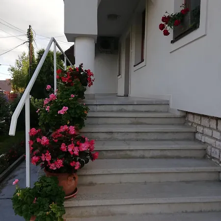 Viragos Vendeghaz